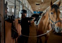 how to open an equestrian club