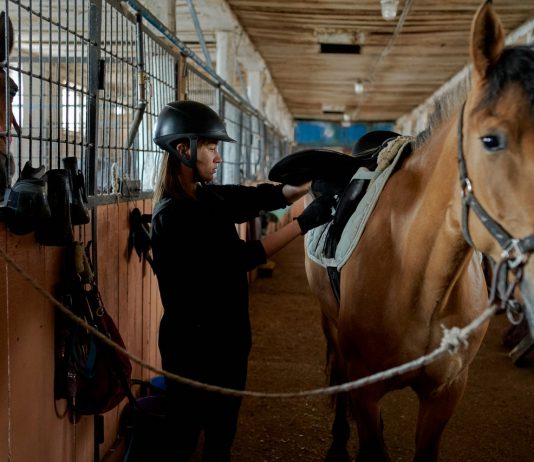 how to open an equestrian club