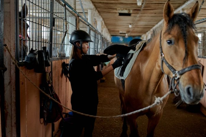 how to open an equestrian club